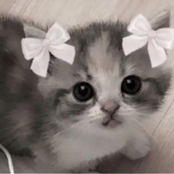 jerseymichasiw